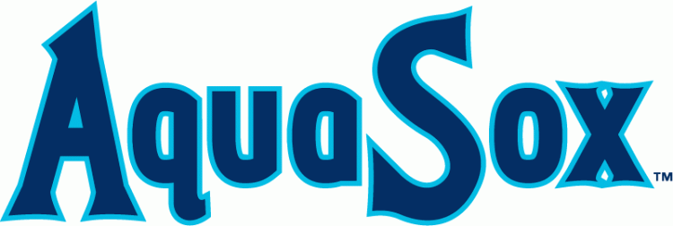 Everett Aquasox 2010-Pres Wordmark Logo iron on transfers for clothing